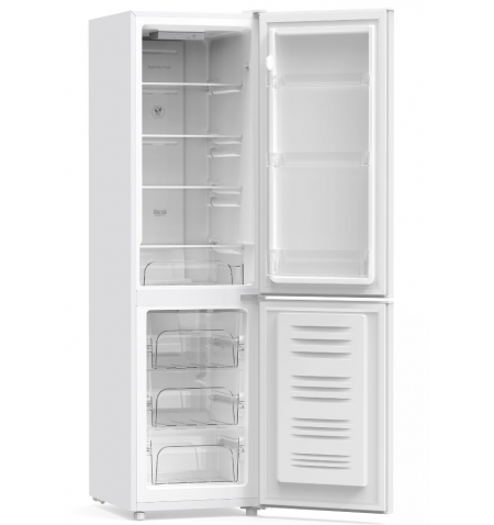 Lodówka chłodziarko-zamrażarka 225L No Frost biała 175cm Smith&Brown SFBF-532-WE3